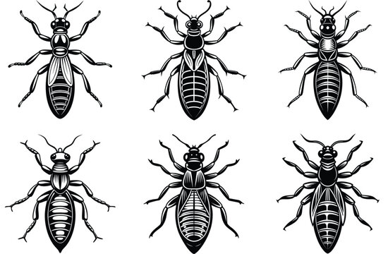 Set of black termite insect silhouettes showing different castes like worker, soldier, and winged alate from top and side views in a simple vector icon style
