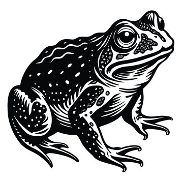 toad icon, toad silhouette vector illustration-simple silhouette illustration of toad, perfect for toad logos and icons