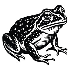 Fototapeta premium toad icon, toad silhouette vector illustration-simple silhouette illustration of toad, perfect for toad logos and icons