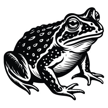 toad icon, toad silhouette vector illustration-simple silhouette illustration of toad, perfect for toad logos and icons