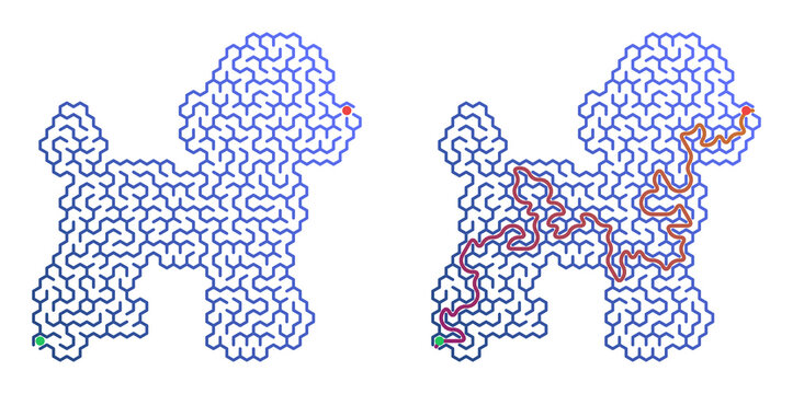 Poodle dog shaped maze game for kids with solution vector
