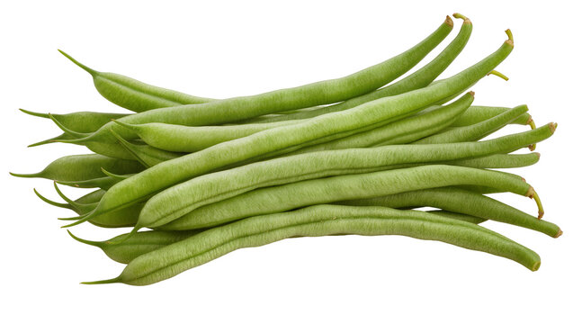 Heap of fresh green string beans with pointed ends