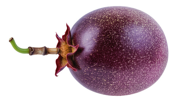 Purple passion fruit with green stem and sepals