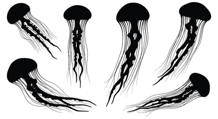 Jellyfish Silhouettes Black And White Marine Life Vector Illustration © Sonia512