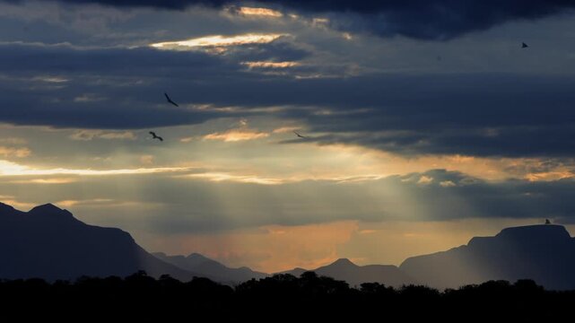 Raptors swarm in dramatic African sunset sky near Mariepskop mtn
