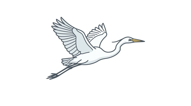 White Egret Bird Flying Gracefully With Wings Spread Wide.