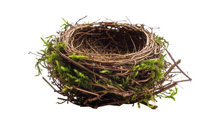 Obraz premium Natural bird nest with moss and twigs