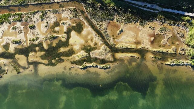 Top down aerial drone view over the wild salt marshes and shallow channels of the Venetian Lagoon during a warm sunset near Eraclea and the Piave river mouth, Italy.