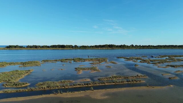 Wide aerial drone view over the pristine coastal sand dunes, pine forest and shallow marsh waters of the Eraclea nature reserve during a colorful sunset on the Venetian Lagoon, Italy