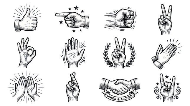 Hand Gestures Collection: Thumbs Up, Pointing, Fist, Peace, OK, High Five, Crossed Fingers