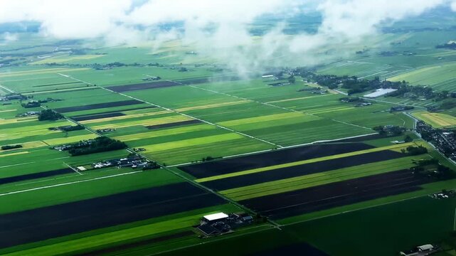 Green fields around Schiphol airport during landing.mp4