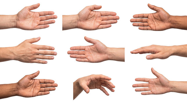 Collection of diverse human hands open and reaching out