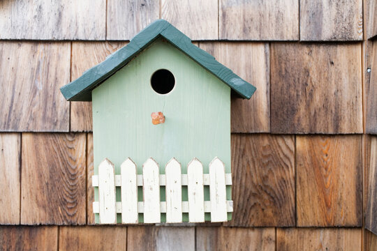 View of a bluebird's house