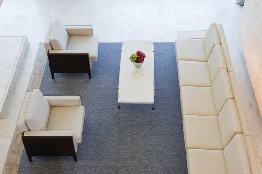 Elevated view of flowerpot on coffee table in an office