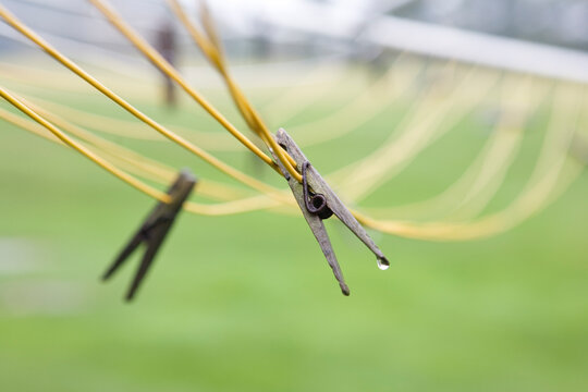 Wet clothes pins on clothes lines