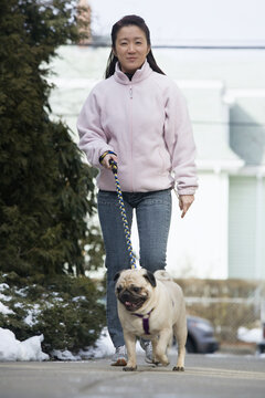 Portrait of a young woman walking and holding a pug on a leash