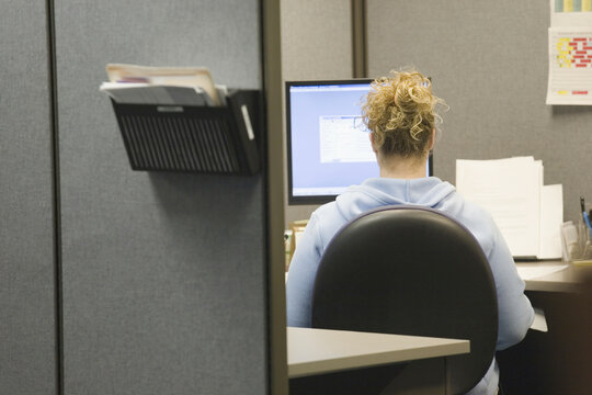 Rear view of a woman using a computer