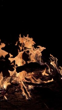 Wild Nature Bonfire and Glowing Flames