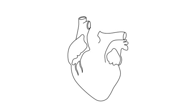 One Line Illustration of an Anatomical Heart