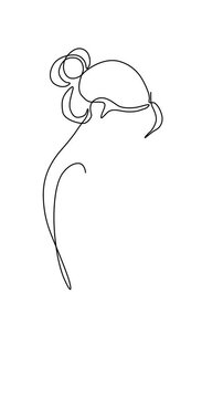 One Line Illustration of Pregnancy and Fetal Development