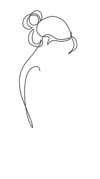 One Line Illustration of Pregnancy and Fetal Development