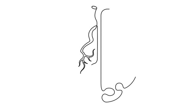One Line Illustration of Heart and Brain Balance Concept