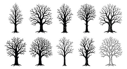 Bare tree silhouettes black and white vector illustration pattern © Urmi512