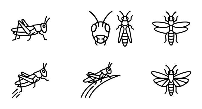 Insect Icons Set: Grasshopper, Ant, Bee, Fly Line Art Collection, Nature Elements