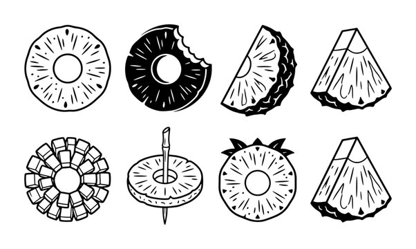 Pineapple Slices Vector Icons: Tropical Fruit Halves, Rings, and Wedges, Hand-Drawn Style