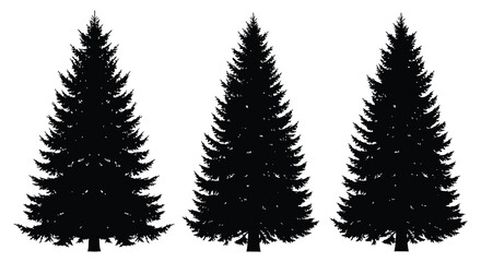 Fototapeta premium Evergreen Tree Silhouettes On White Background Minimalist Forest Scene