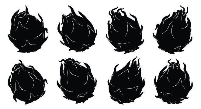 Dragon Fruit Silhouettes Black Shapes On White Background