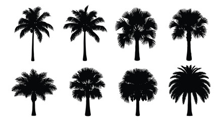 Palm tree silhouettes in a collection black on white background © Urmi512