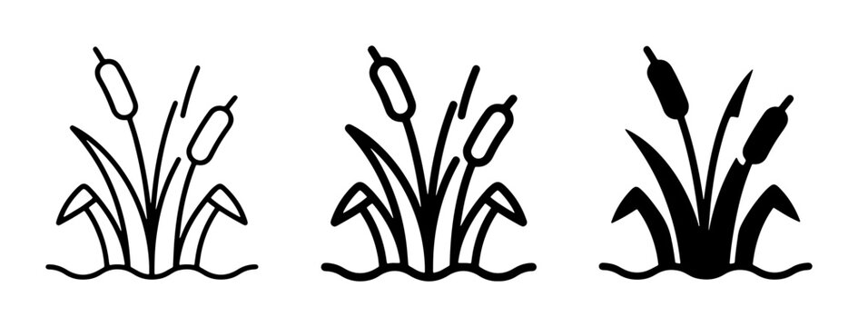 Cattail plant icons, reed marsh symbols, wetland flora graphics, nature design elements