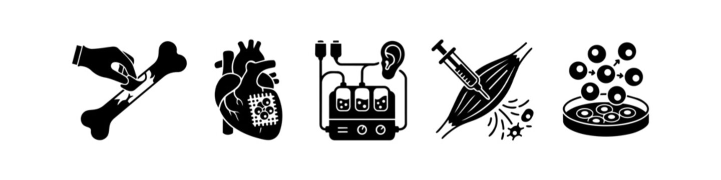 A set of regenerative medicine and biotechnology icons featuring bone repair, cardiac tissue engineering, organ bioprinting, muscle cell therapy, and stem cell culture in a clean vector style.