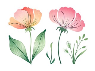 Obraz premium Elegant Nature Bloom. Set of abstract flowers with contour and gradient style. Floral decoration, botanical decor. Blossom nature.
