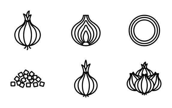 Onion Icon Set, Fresh Vegetable Graphics, Culinary Ingredient Vector Collection