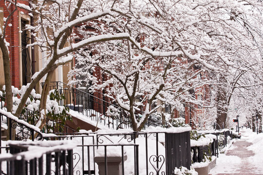 Buildings along a snow covered street