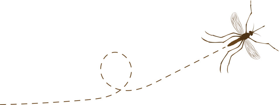 Mosquito flying path. A mosquito flying in a dotted line. The flight path of gnat. Mosquito flying on a dotted route. Hand drawn midge. Mosquito Fly Icon Vector illustration.