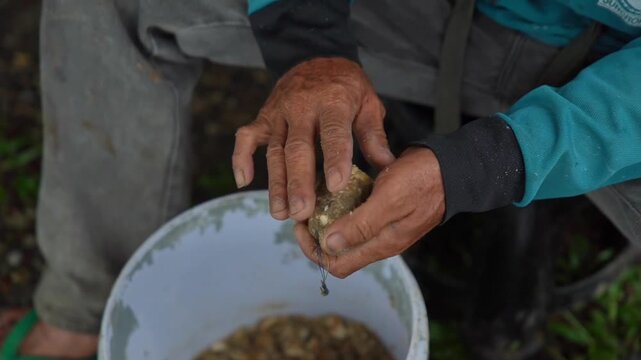 An angler intently preparing bait.