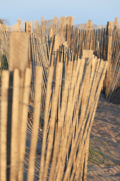 Sand fence at Fred Benson Town Beach