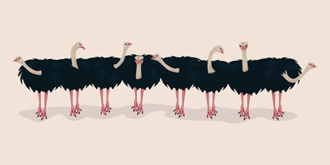 A group of funny and curious ostriches stands in a row against a light background. Hand-drawn vector illustration. © liana2012