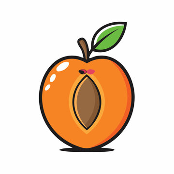 Stylized illustration of a halved peach with a leaf