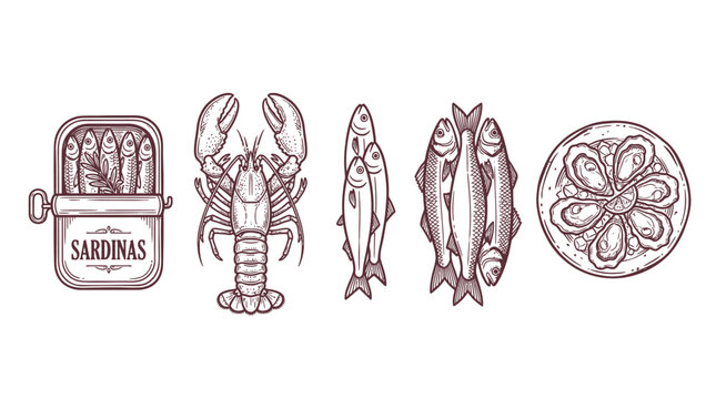 Detailed vector illustration featuring fresh seafood including lobster sardines oysters and various raw fish species