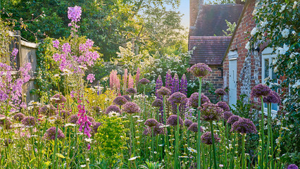A traditional English country cottage garden with flowers in summer © Matthew J. Thomas