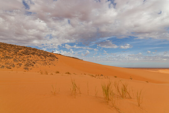 Characteristic desert landscape of Mauritania