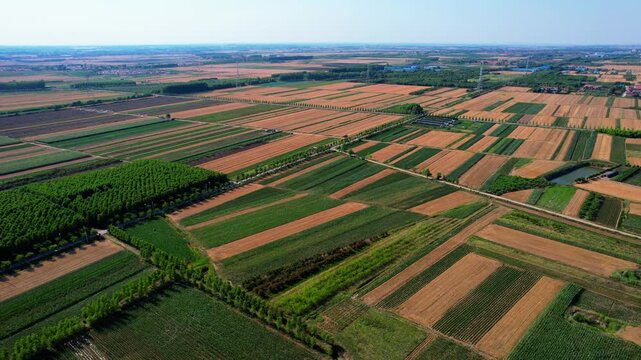 Aerial perspective of patchwork farm fields with varied crops and vegetation under clear sky.