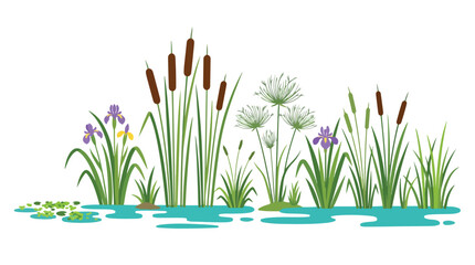 Fototapeta premium Beautiful natural scene of lush green reeds and water lilies growing along a tranquil pond or lake edge in a peaceful
