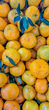 mixiricas maduras