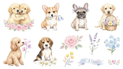 Fototapeta premium Cute puppy clipart, floral dog breeds and pastel nursery elements.. Collection of Vector illustrations for invitation, card, poster, banner, decoration 