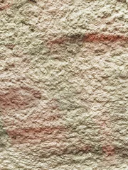 Grungy section of wall ideal for backgrounds © ilolab